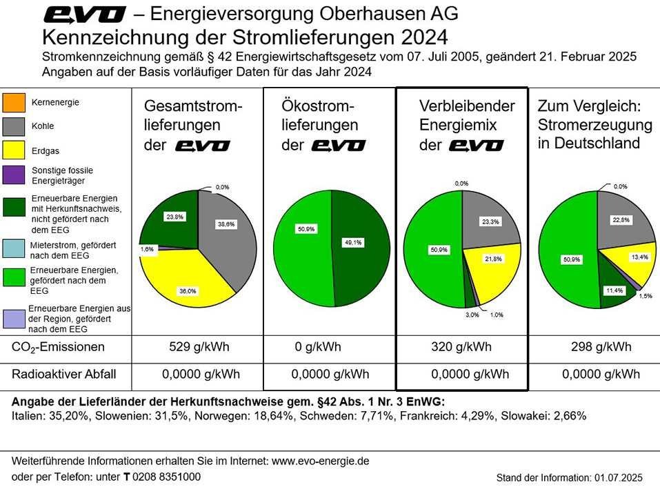 Ein Bild mit Kuchendiagrammen ist zu sehen. In diesen wird dargestellt, wie sich der Strom der evo zusammensetzt.